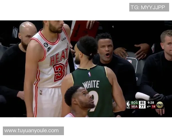 凯尔特人对阵热火精彩回放分析与赛后点评全景呈现